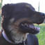 image02