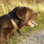image08